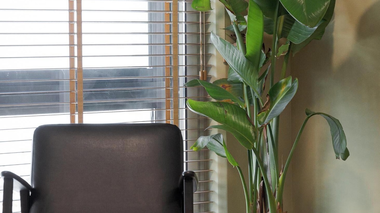 Photo of Livingroom in Patras