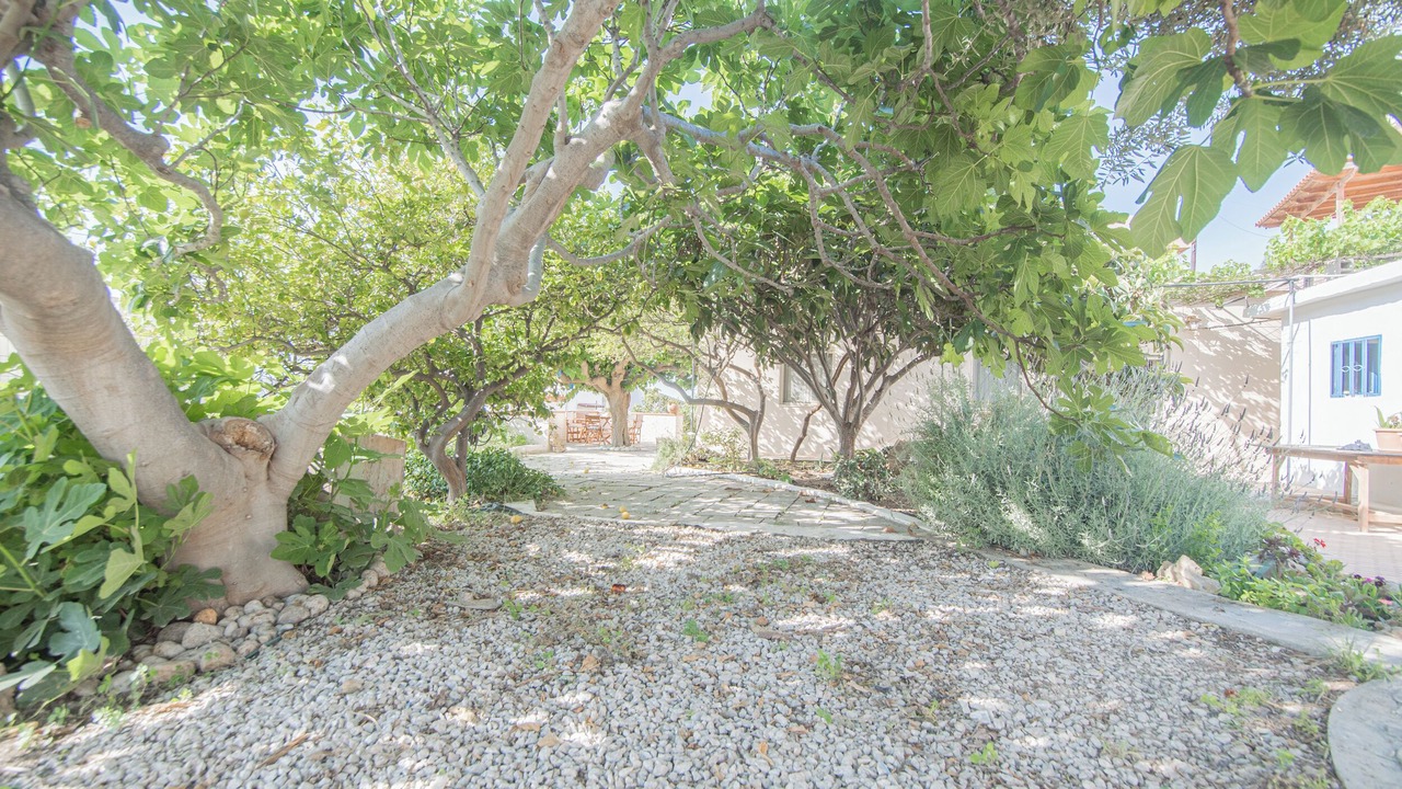 Photo of Outdoor in Kalo Chorio