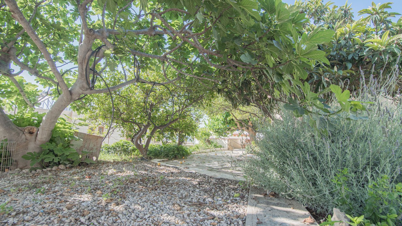 Photo of Outdoor in Kalo Chorio