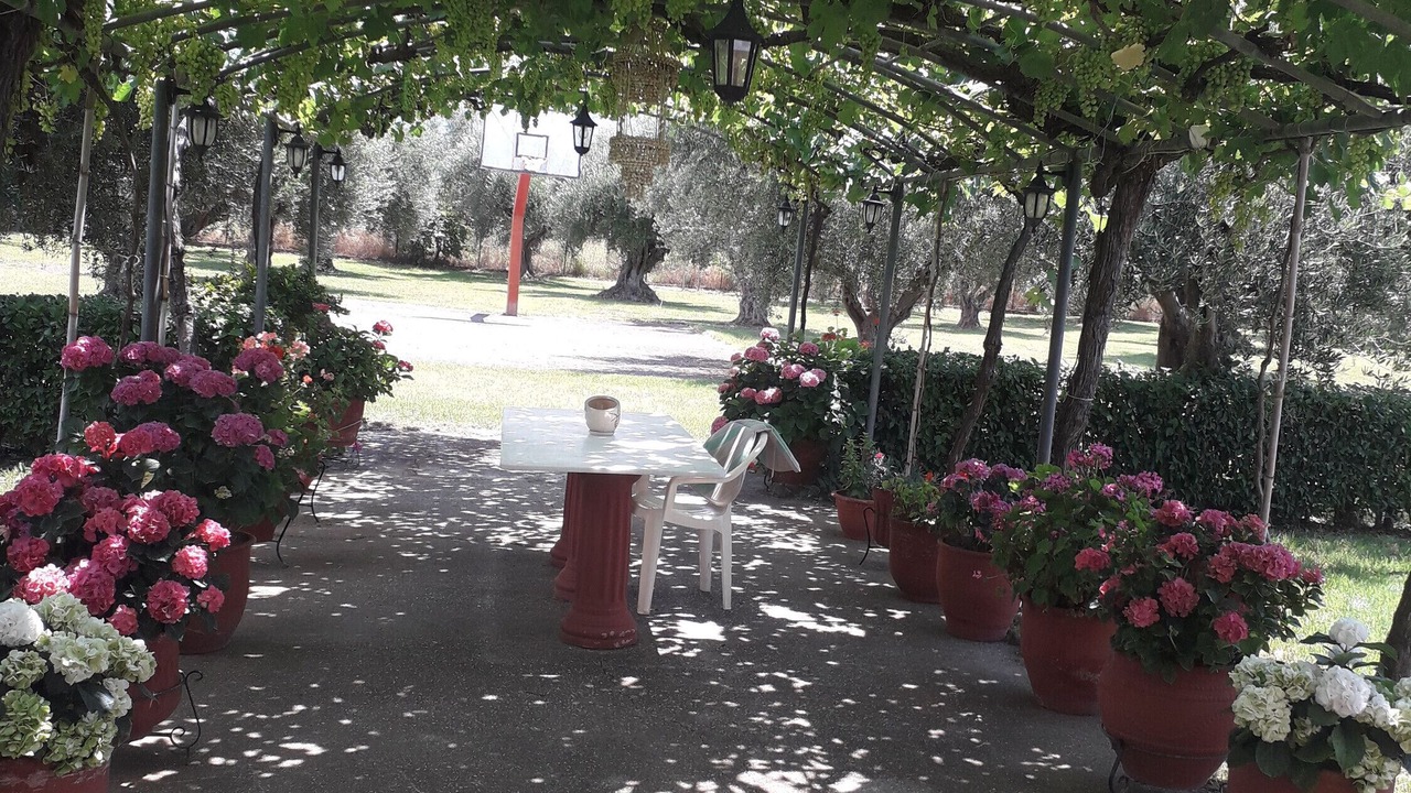 Photo of Outdoor in Lepreo