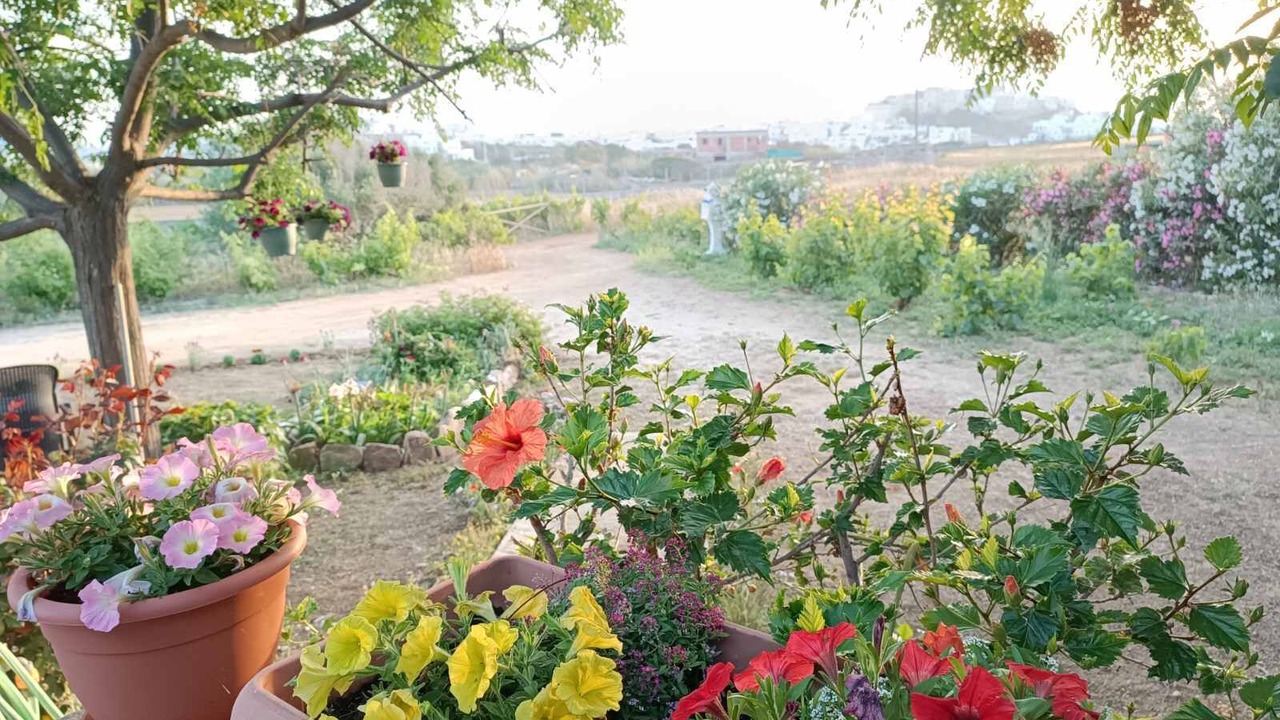 Photo of Outdoor in Irakleia