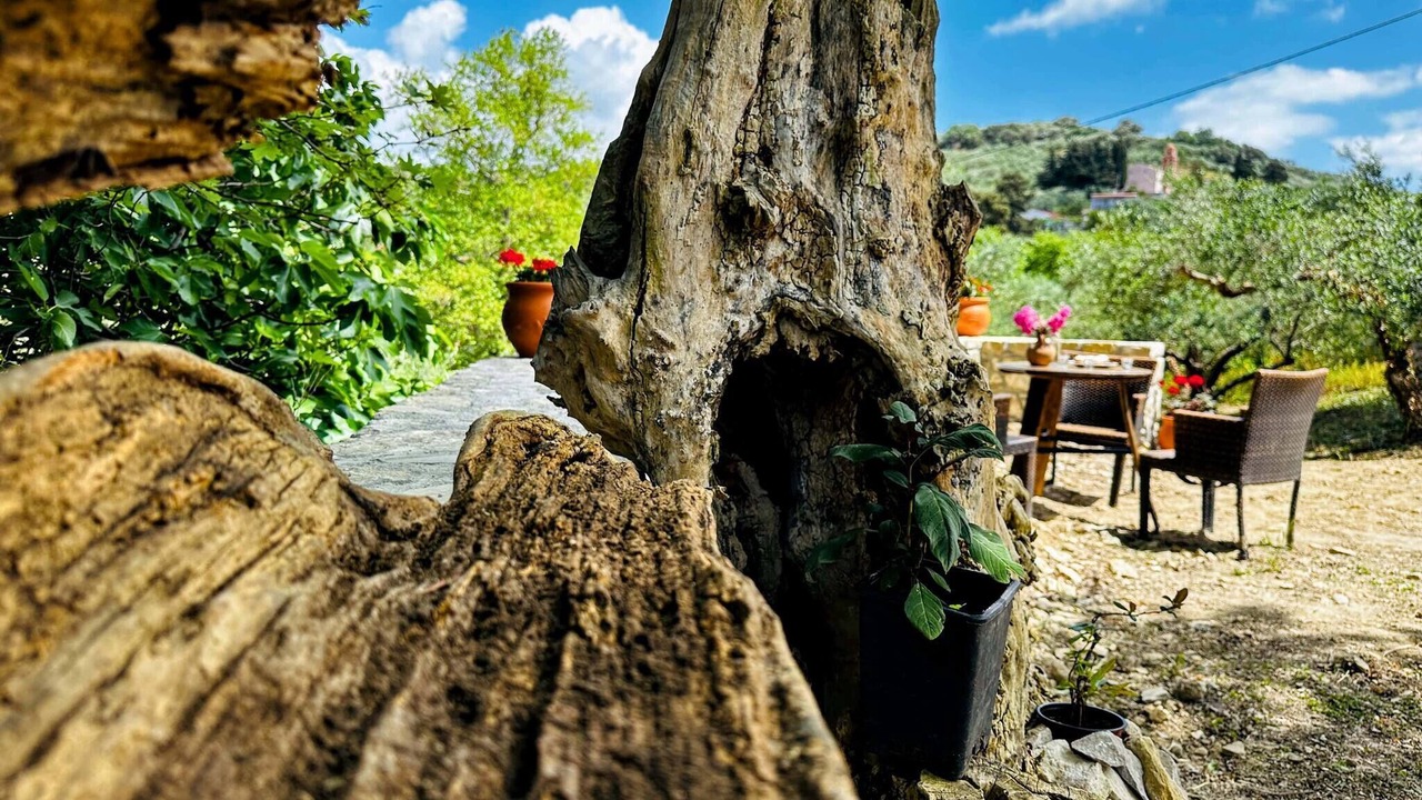 Photo of Outdoor in Panethimos