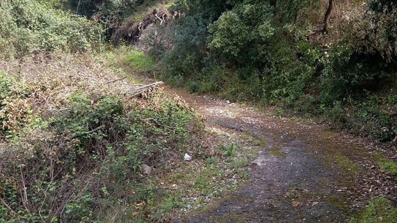 Photo of Others in Molos-Agios Konstantinos