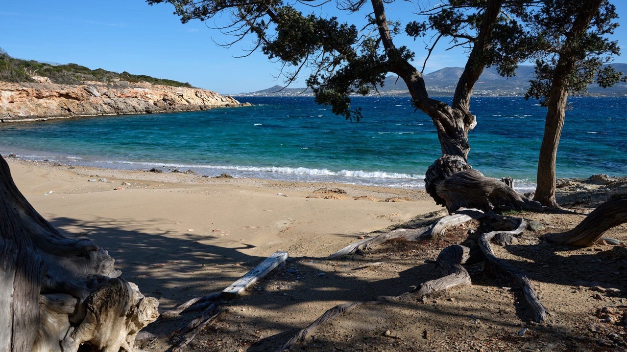 Photo of Others in Antiparos