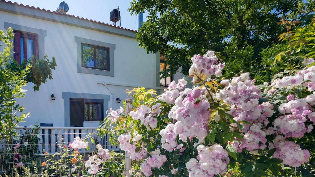 Photo of Outdoor in Panethimos