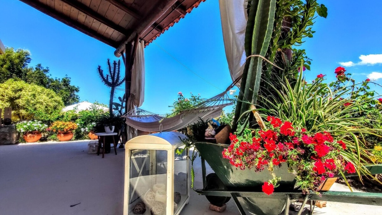 Photo of Patio Balcony in Loulos