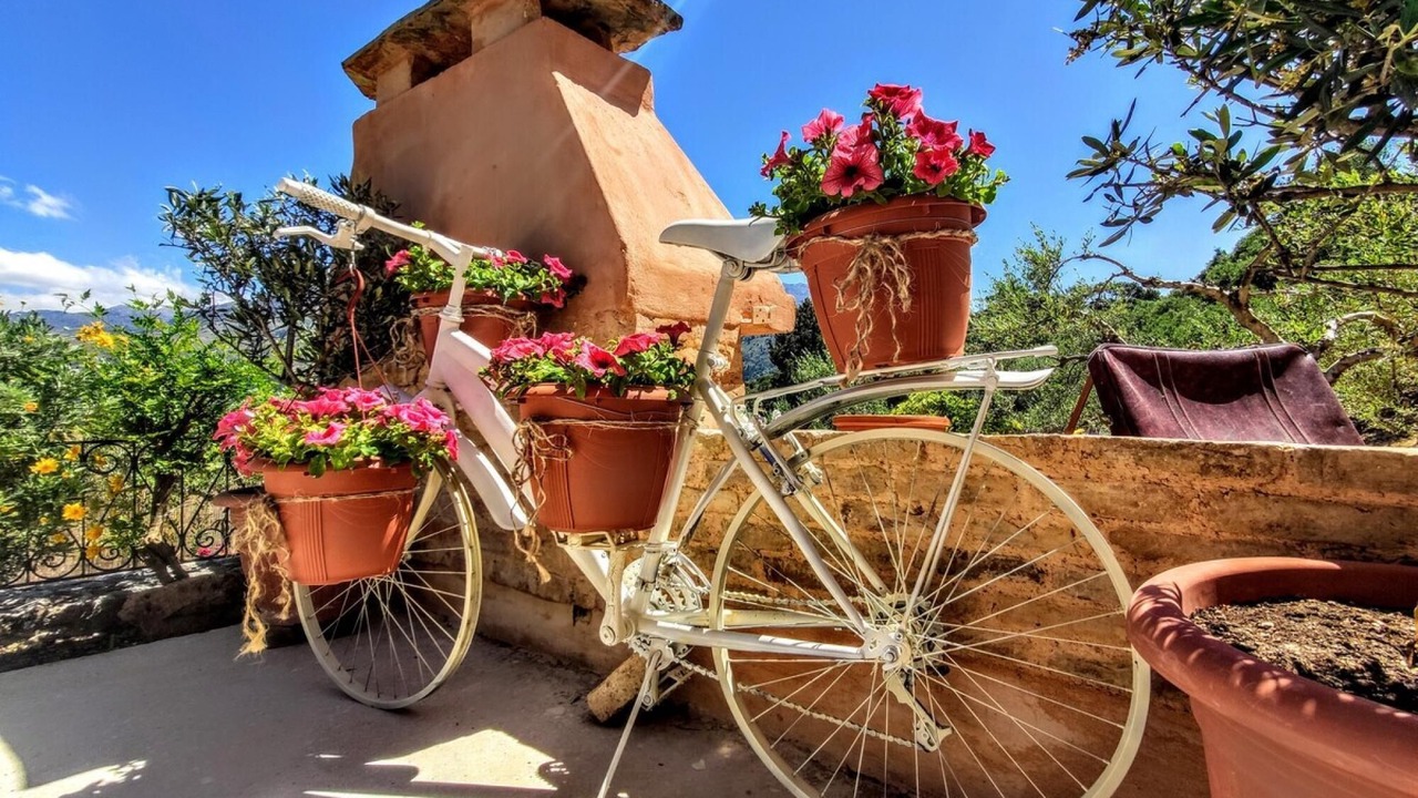 Photo of Outdoor in Loulos