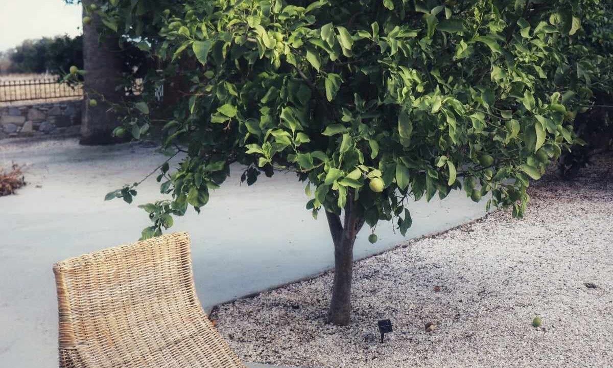 Photo of Outdoor in Kardamena