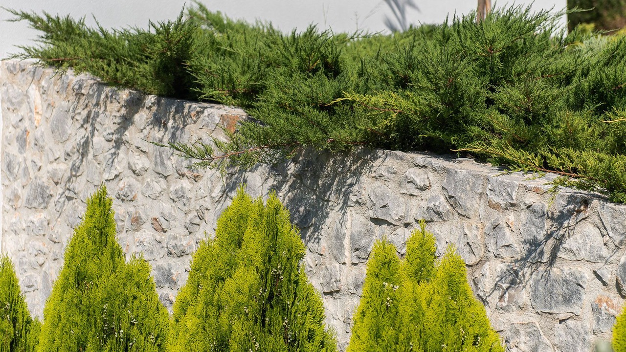 Photo of Outdoor in Apokoronas