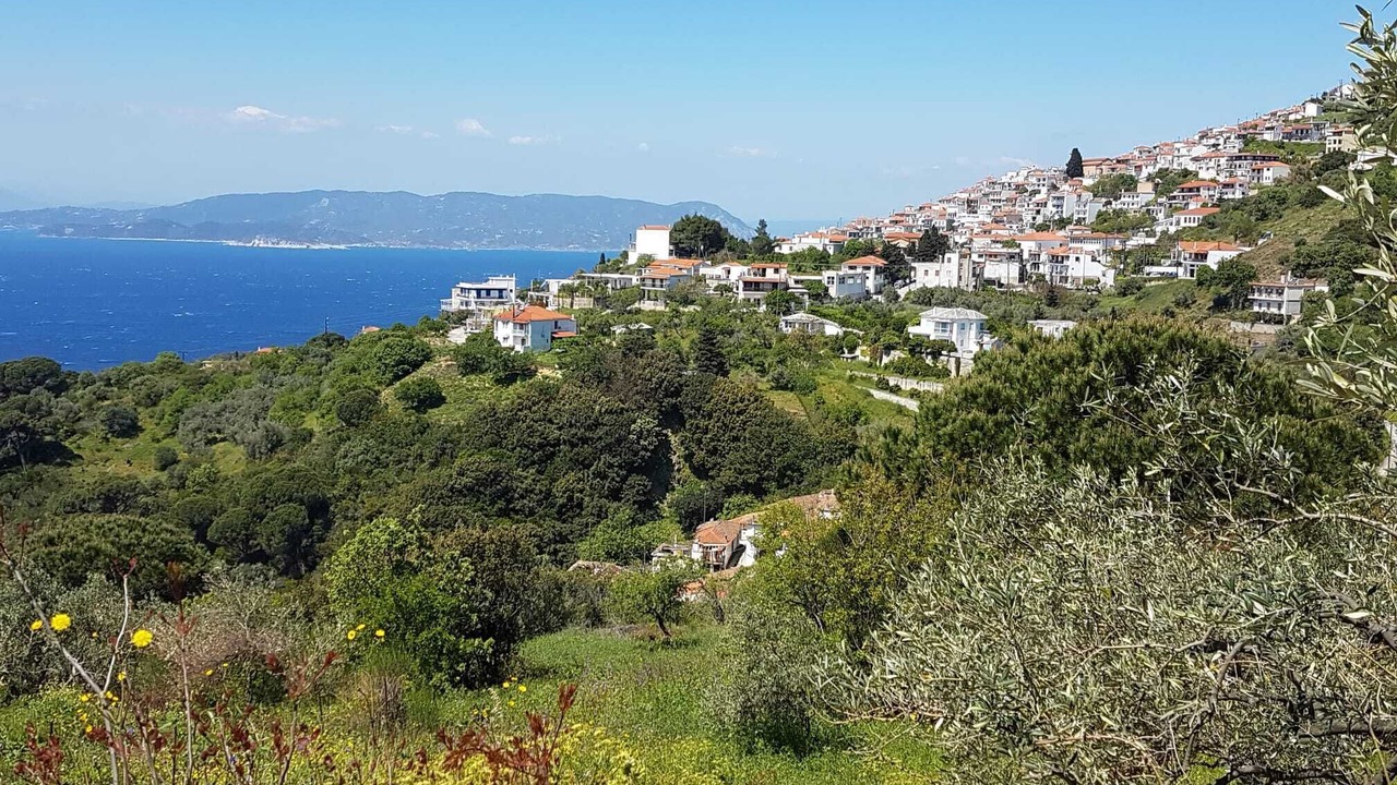 Photo of Others in Glossa