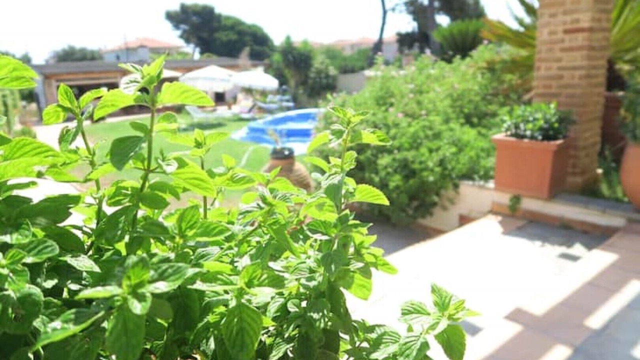 Photo of Outdoor in Mytikas