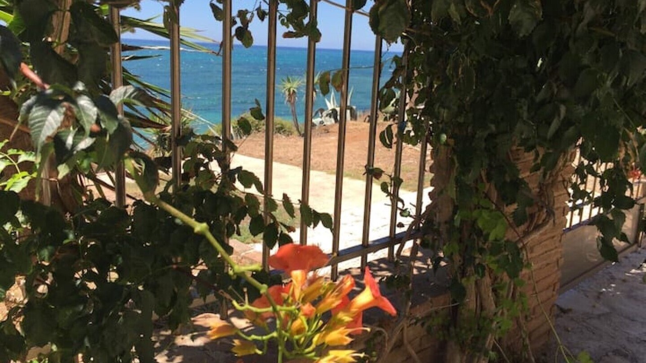 Photo of Outdoor in Mytikas