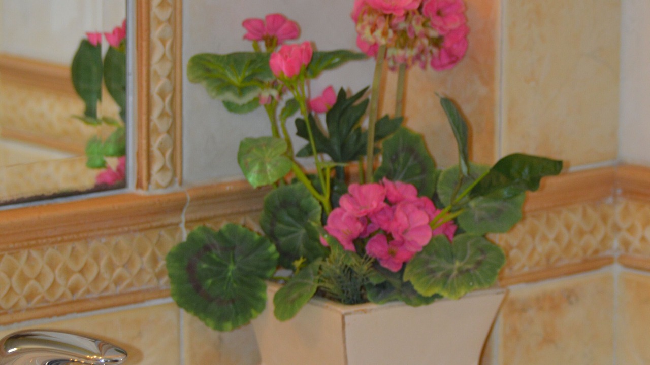Photo of Bathroom in Makednoi