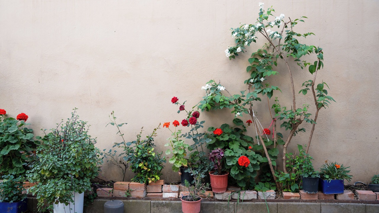 Photo of Outdoor in Tripoli