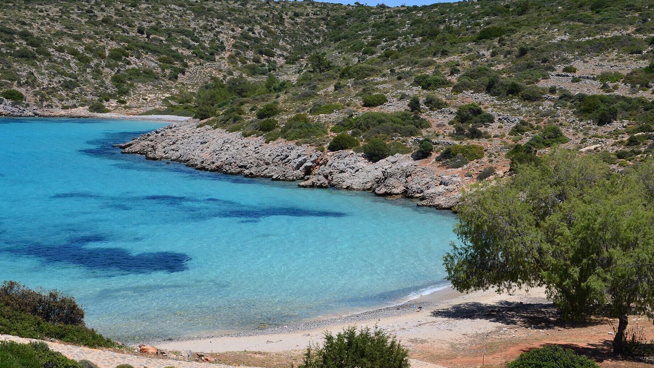 Photo of Others in Olympi