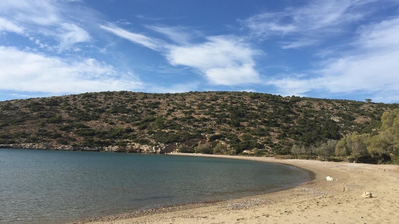 Photo of Others in Olympi