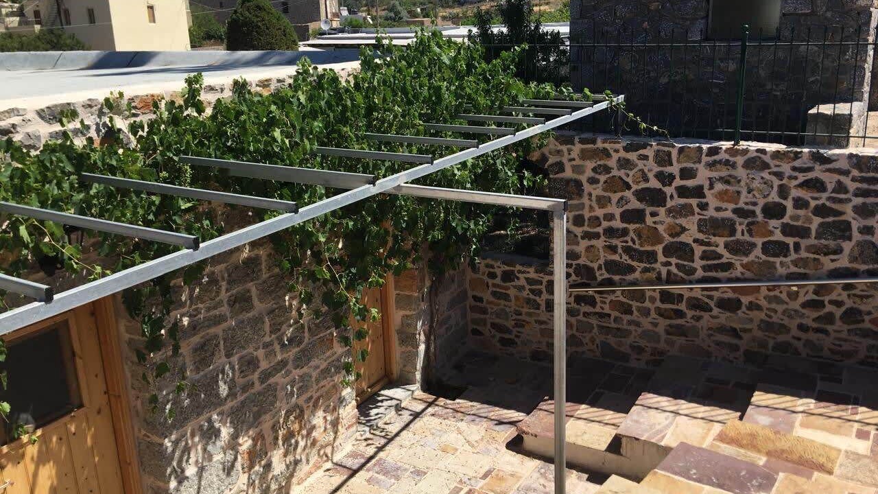 Photo of Others in Olympi