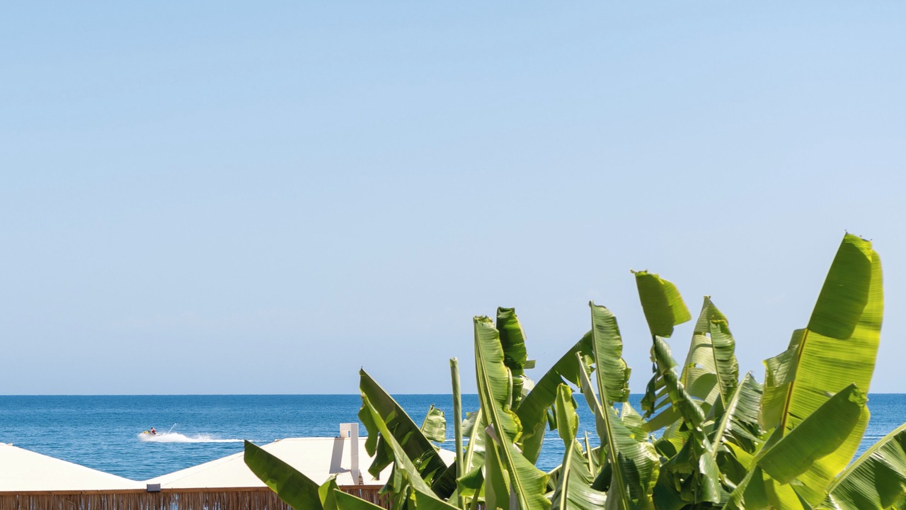 Photo of Outdoor in Bali