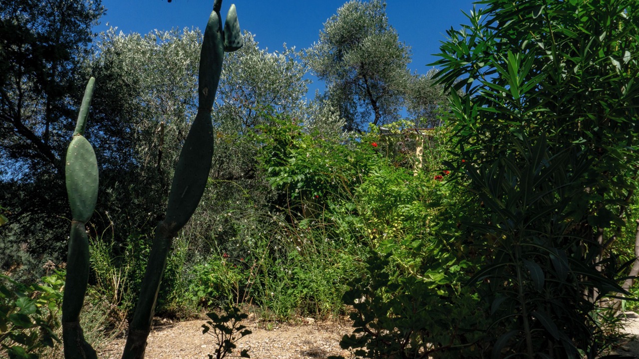 Photo of Outdoor in Grigoriana