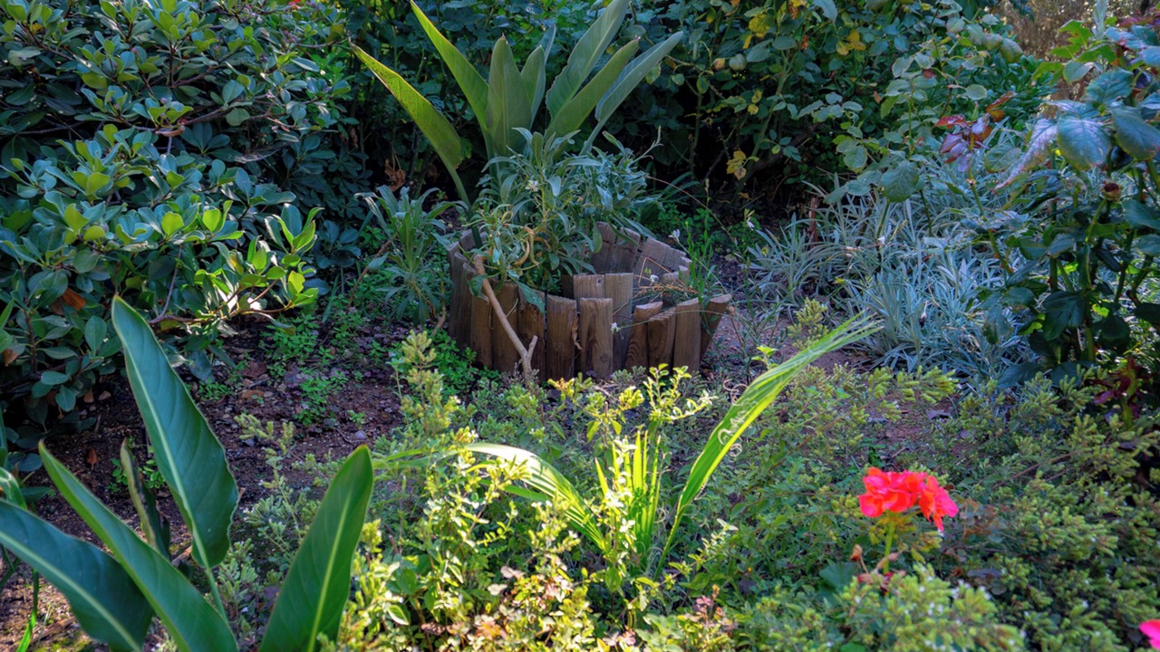 Photo of Outdoor in Grigoriana