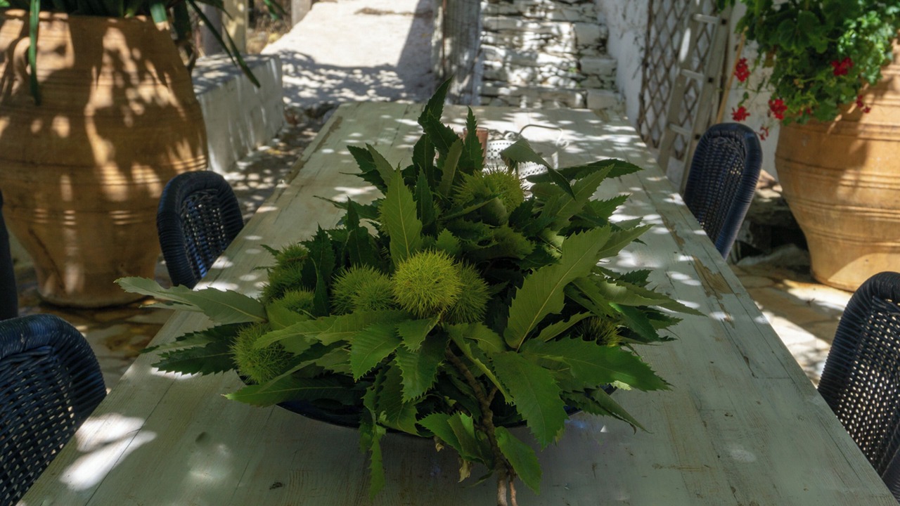 Photo of Outdoor in Grigoriana