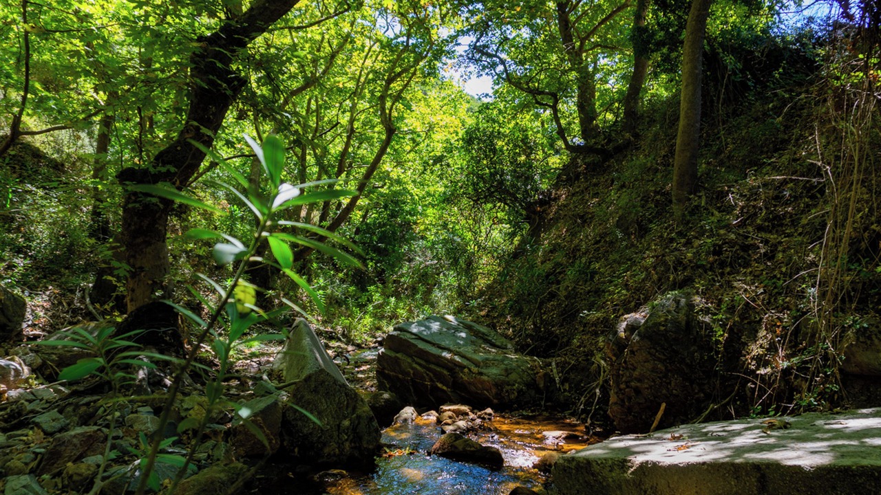 Photo of Outdoor in Grigoriana