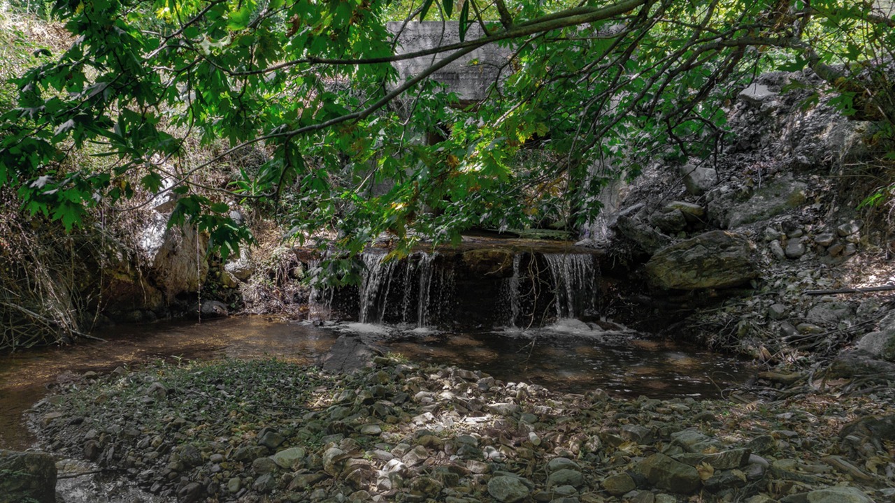 Photo of Outdoor in Grigoriana