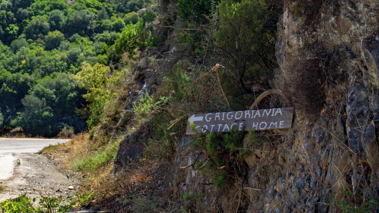 Photo of Others in Grigoriana