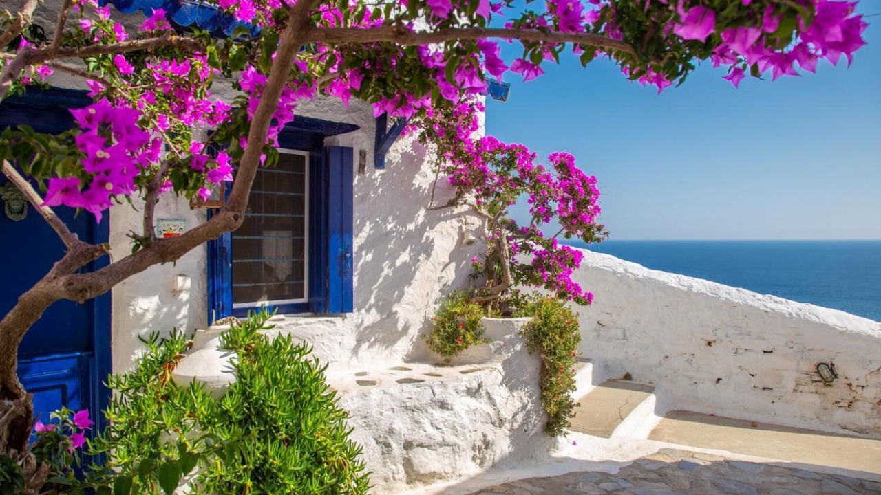 Photo of Outdoor in Skopelos