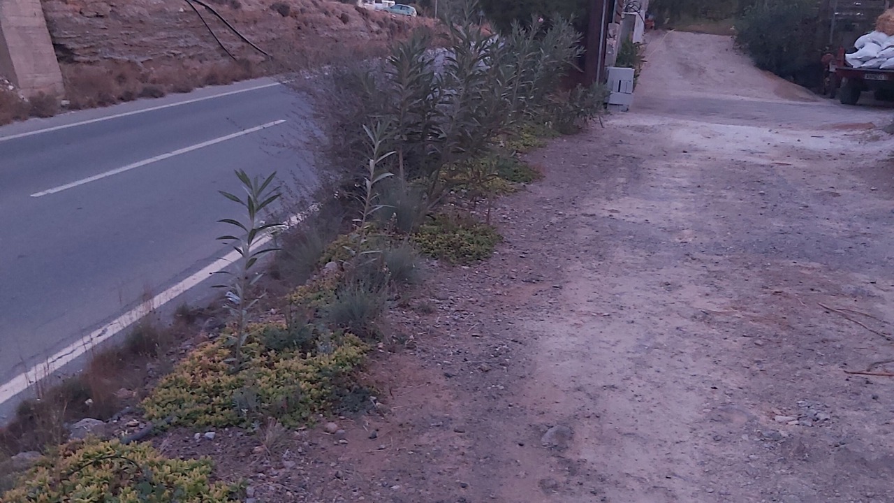 Photo of Outdoor in Xerocambos