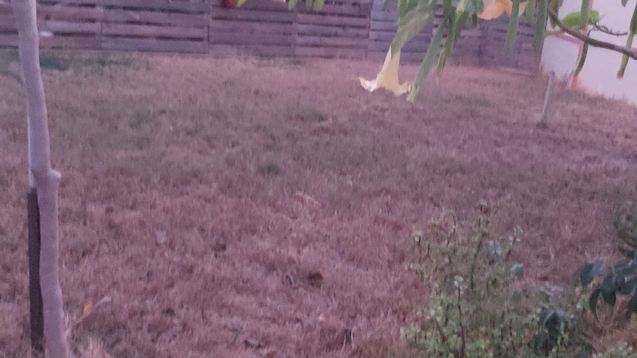 Photo of Outdoor in Xerocambos