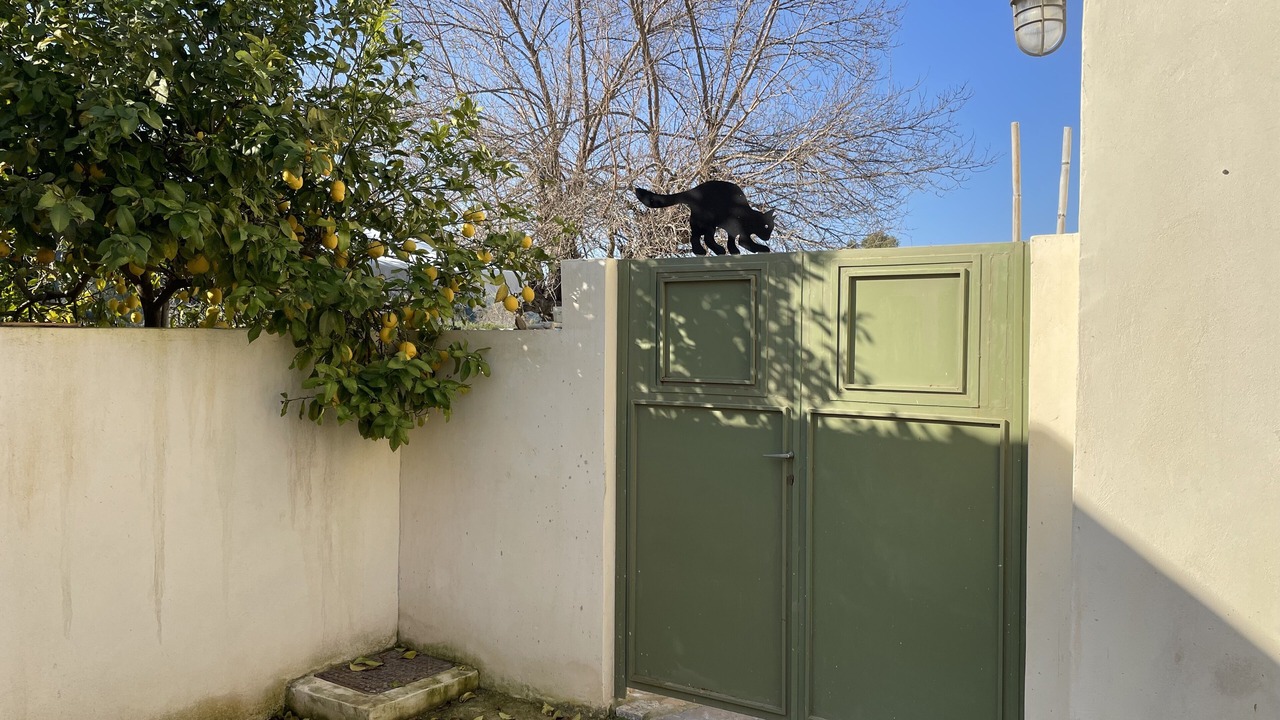 Photo of Outdoor in Vori