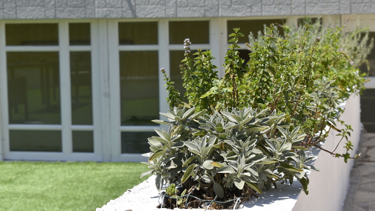 Photo of Outdoor in Kefalari