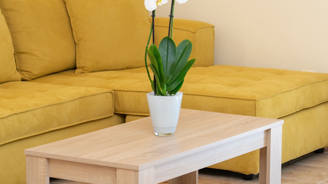 Photo of Livingroom in Kaligata