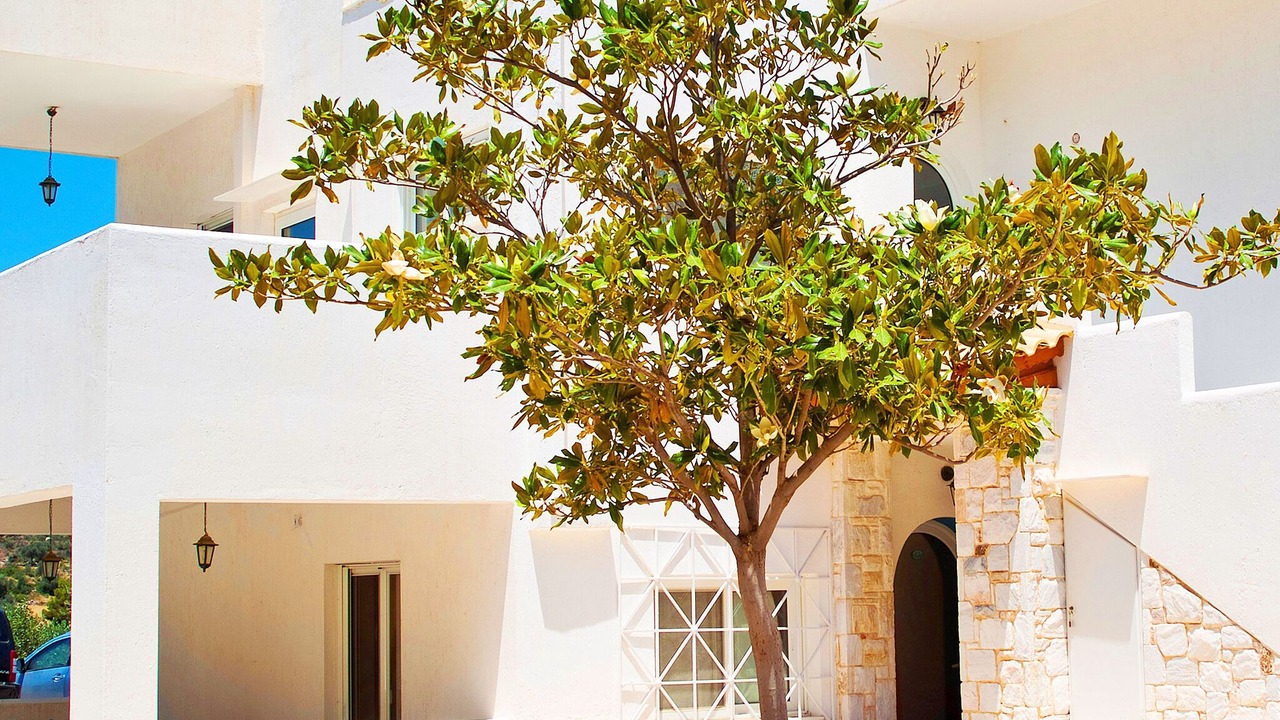 Photo of Outdoor in Sesi