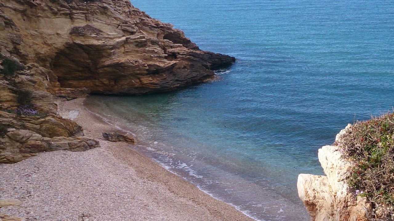 Photo of Others in Sesi