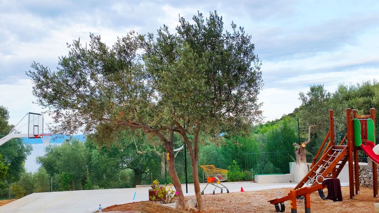 Photo of Others in Sesi