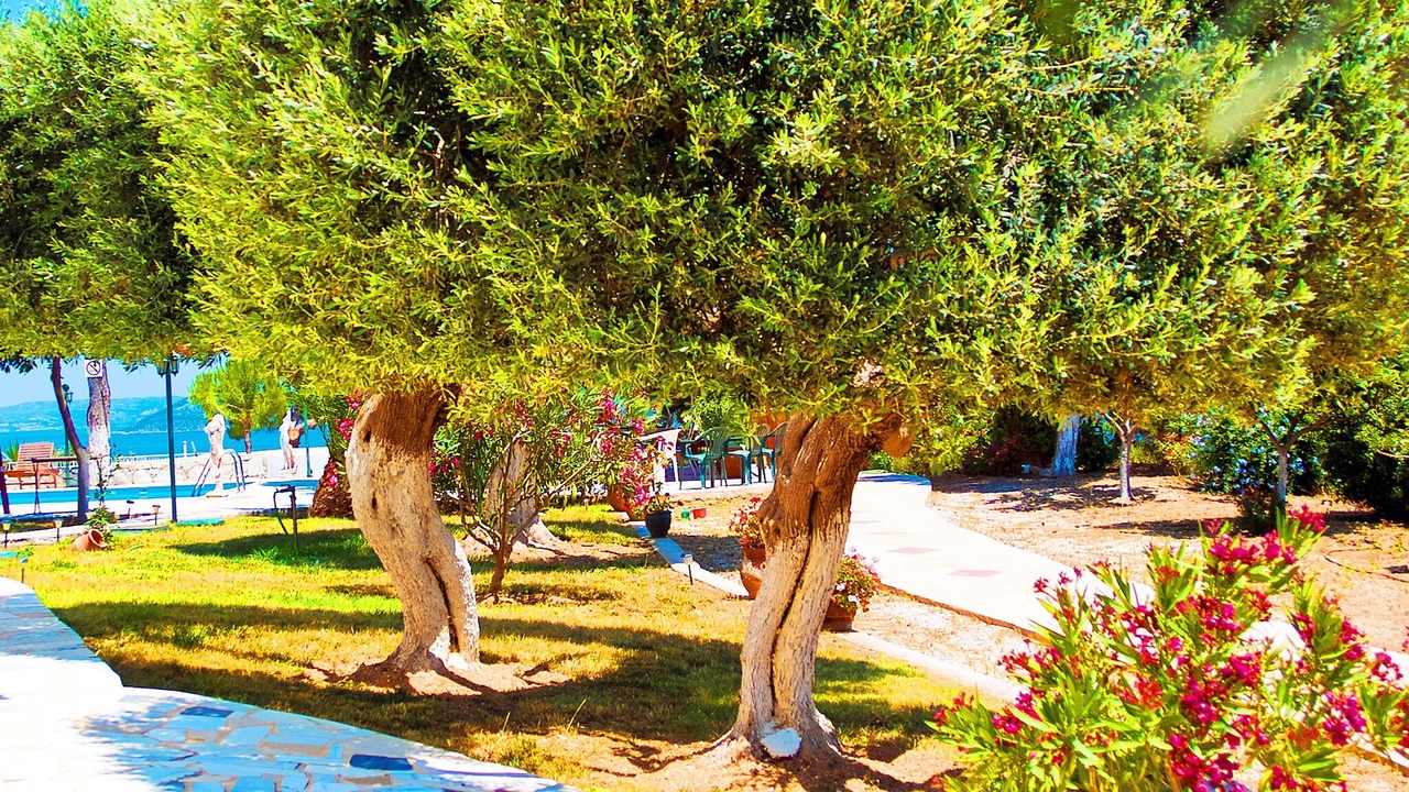 Photo of Outdoor in Sesi