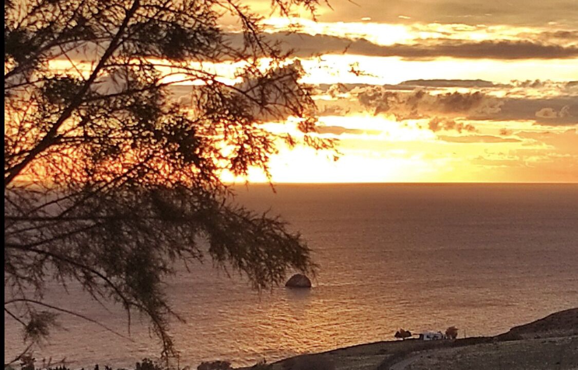 Photo of Others in Lentas