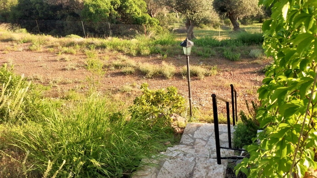 Photo of Outdoor in Dirfys-Messapia