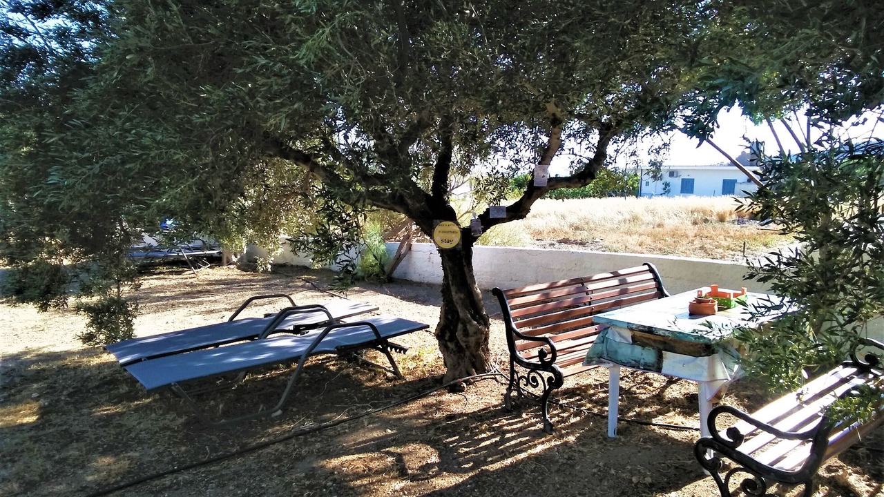 Photo of Outdoor in Ferma