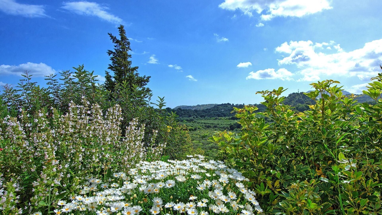 Photo of Outdoor in Embrosneros