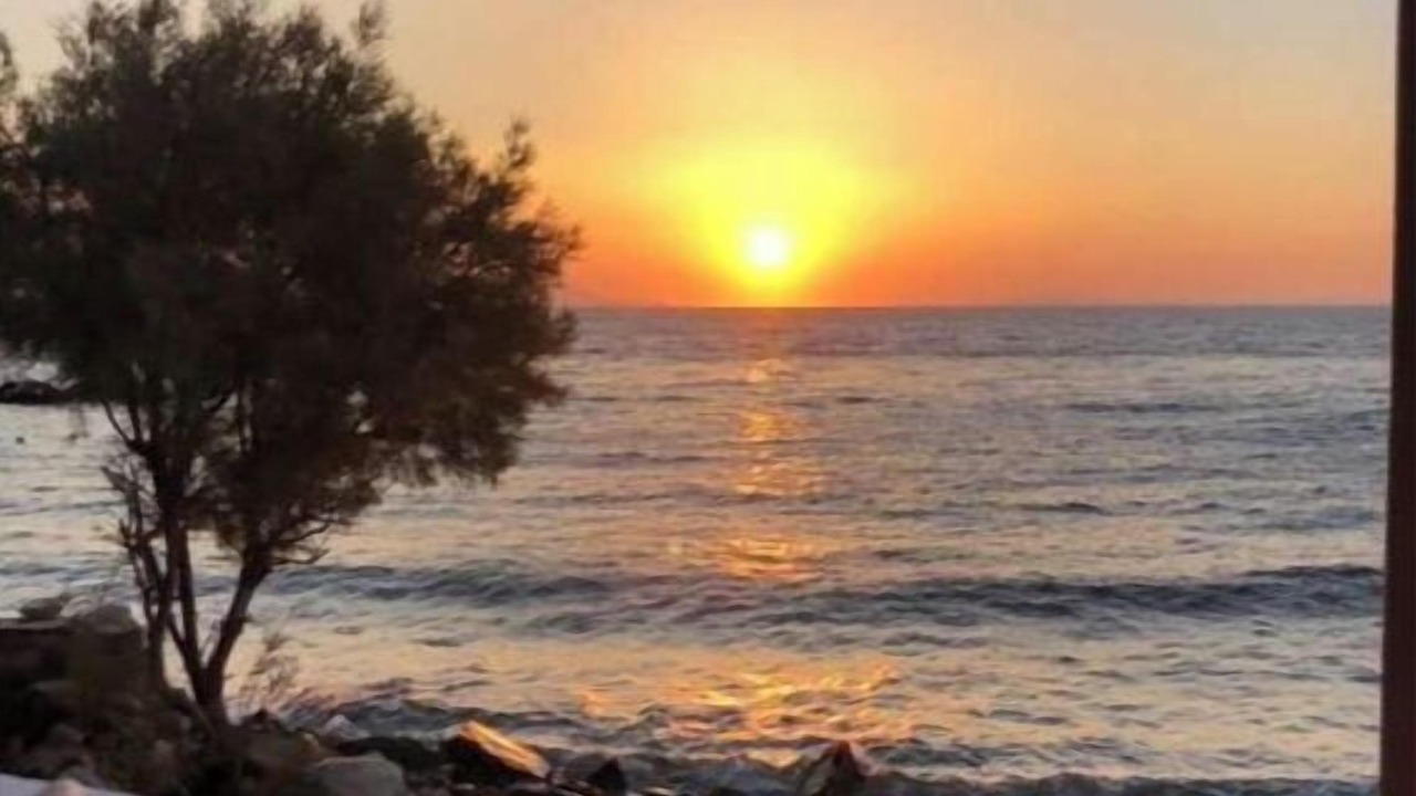 Photo of Others in Syros