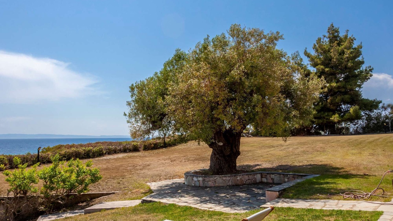 Photo of Patio Balcony in Sithonia