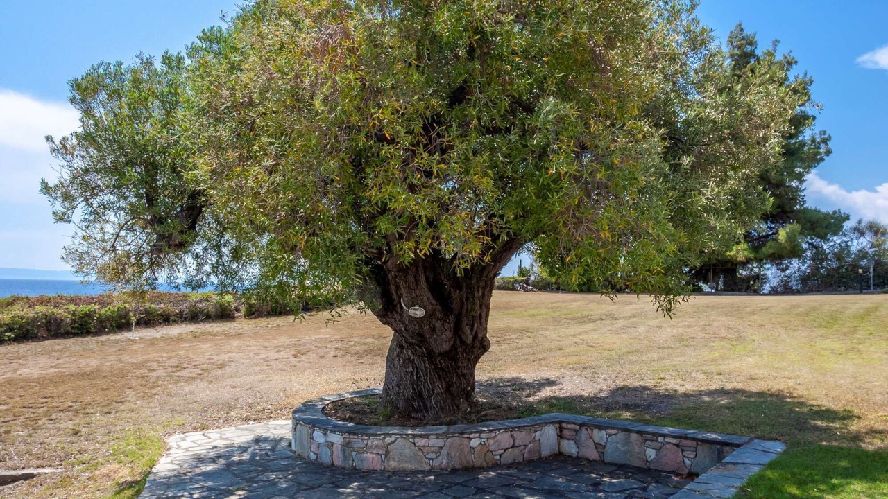 Photo of Outdoor in Sithonia