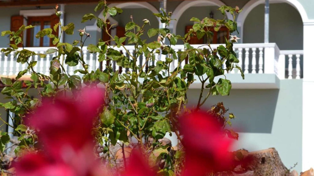 Photo of Outdoor in Koiliomenos
