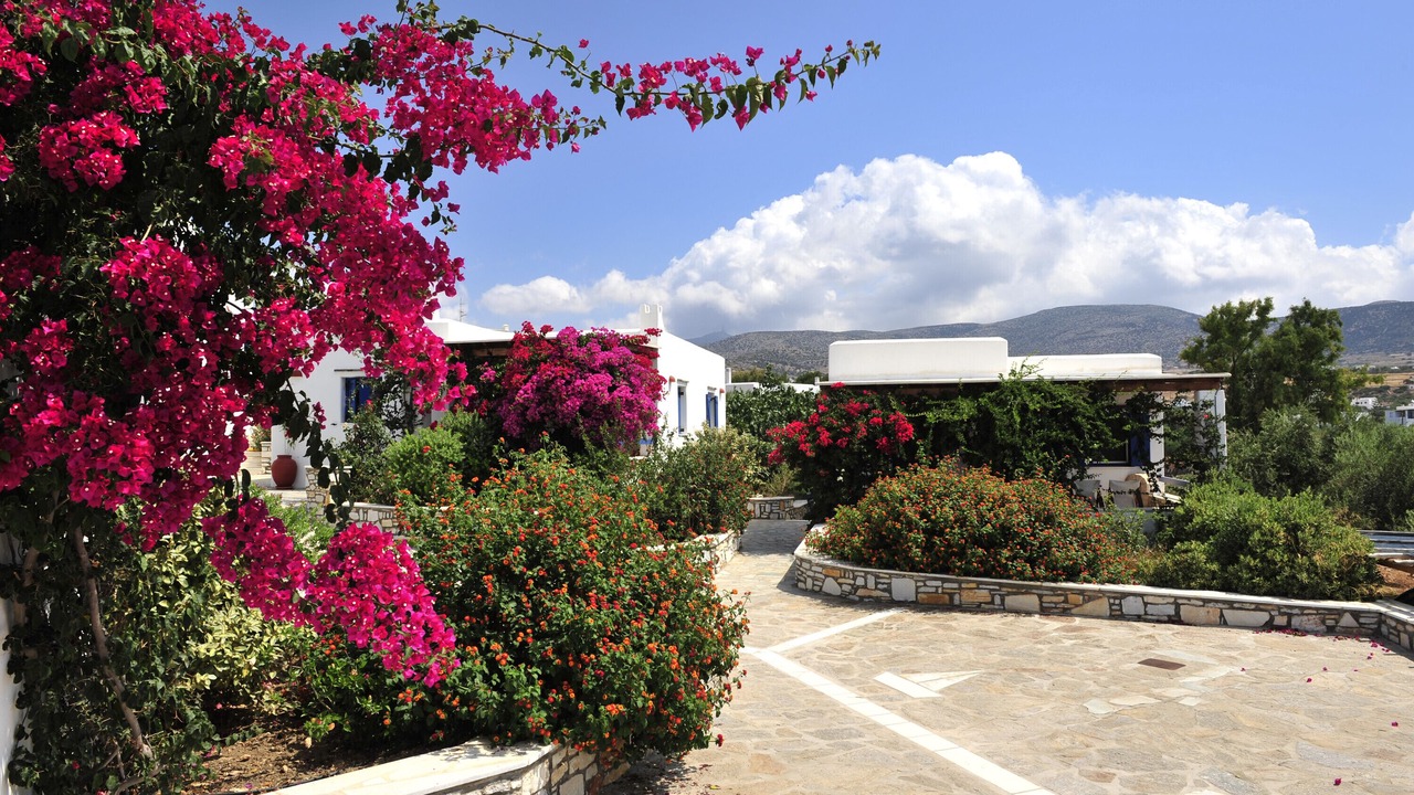 Photo of Outdoor in Aliki