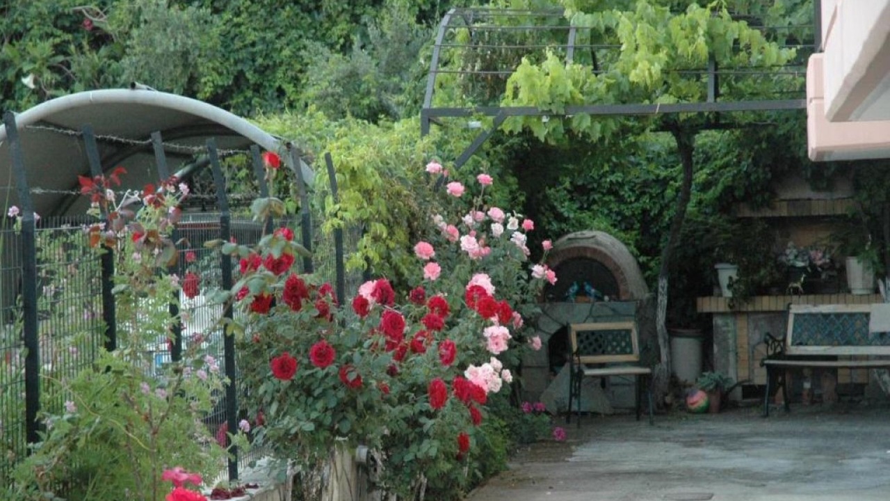 Photo of Patio Balcony in Patras
