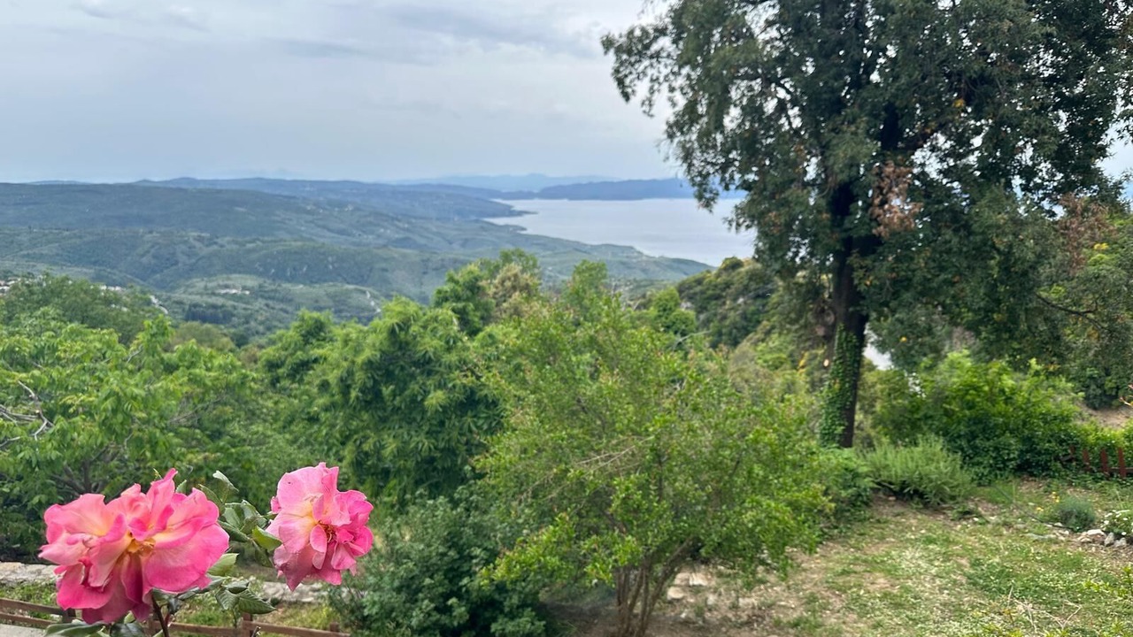 Photo of Others in Vizitsa
