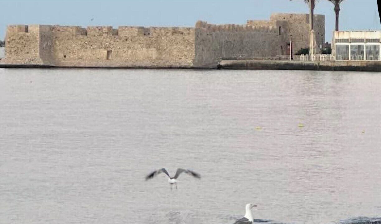 Photo of Others in Ierapetra